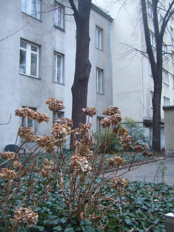 Vienna Top Comfort Apartment Bagian luar foto